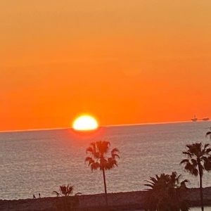 Meet your Posher, Jesus